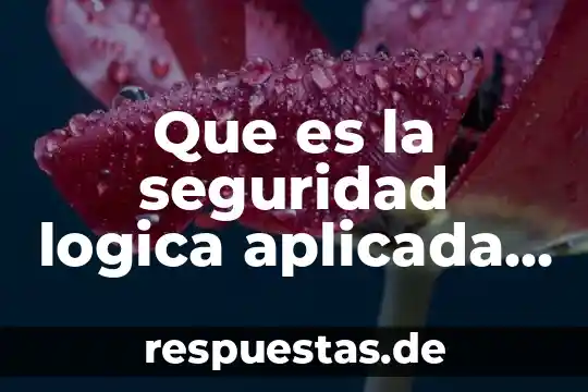 Qué es la argumentación sometida a reglas lógica 6 Que es la seguridad logica aplicada por hardware