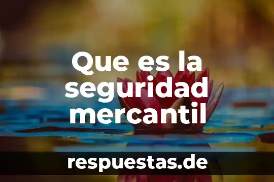Que es la seguridad de un centro de computo 6 Que es la seguridad mercantil