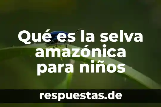 Que es postas periodismo 5 Qué es la selva amazónica para niños