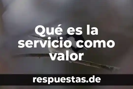 Valor espiritual transcendente que es 3 Qué es la servicio como valor