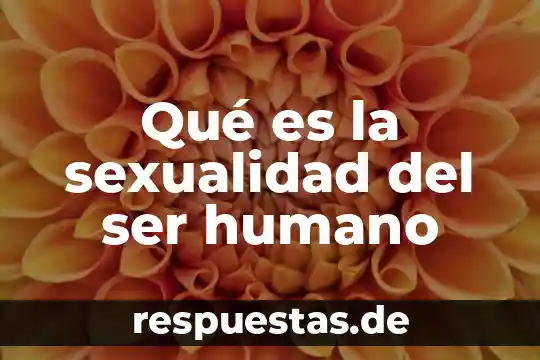 Que es ser mexicano negativamente 8 Qué es la sexualidad del ser humano