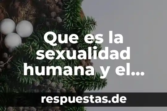Investigar que es simetría y figura 4 Que es la sexualidad humana y el autor biografia