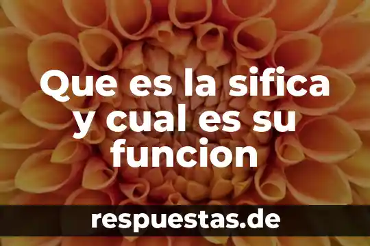 Que es funcion poetica o estetica 4 Que es la sifica y cual es su funcion