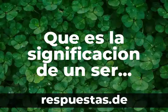 Que es la significacion de un ser humano