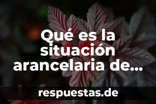 Qué es número de identificación fiscal estatal en estados unidos 4 Qué es la situación arancelaria de México con Estados Unidos