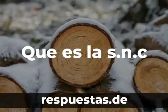 Que es bicondicional concepto 4 Que es la s.n.c