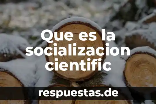 Que es el ser social y sus proceso de socialización 6 Que es la socializacion cientific