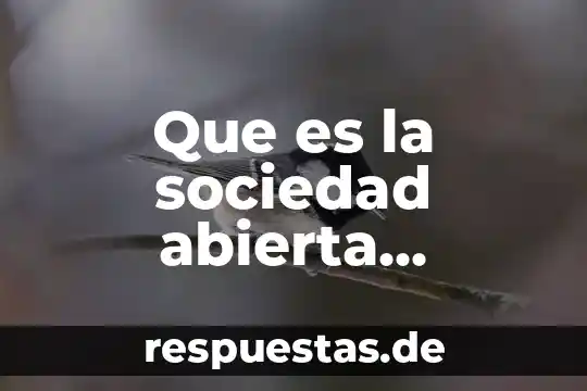 Democratización radical de la sociedad americana que es 6 Que es la sociedad abierta filosoficamente
