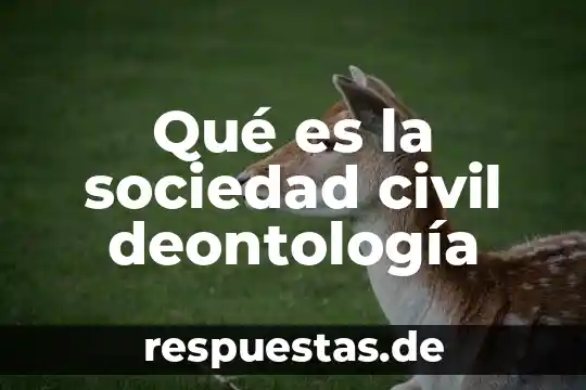 Qué es un juzgado de paz civil 5 Qué es la sociedad civil deontología