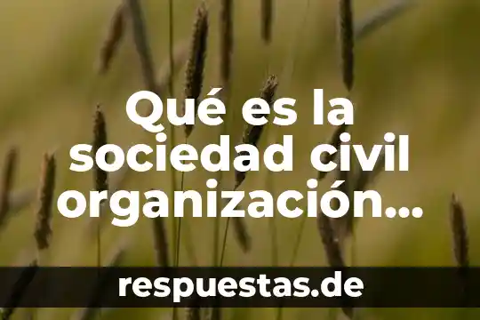 Qué es la organización mundial de la salud 7 Qué es la sociedad civil organización gubernamental