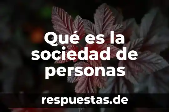 Que es la conformacion de la sociedad mercantil 7 Qué es la sociedad de personas