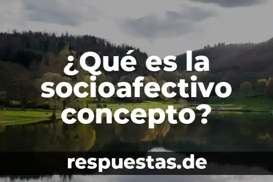 Que es desarrollo de tema 7 ¿Qué es la socioafectivo concepto?