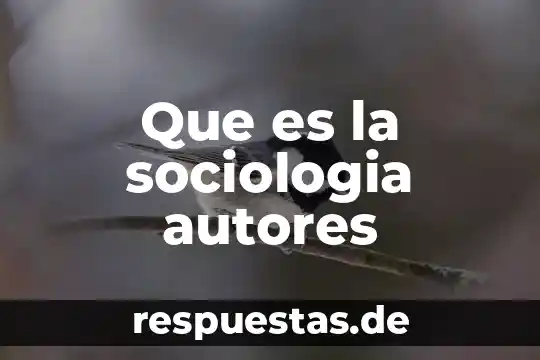 Que es color autores 3 Que es la sociologia autores