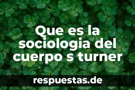 Que es un boro cuerpo 6 Que es la sociologia del cuerpo s turner