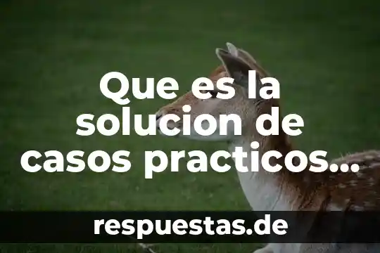 Que es la solucion de casos practicos definicion macroeconomia