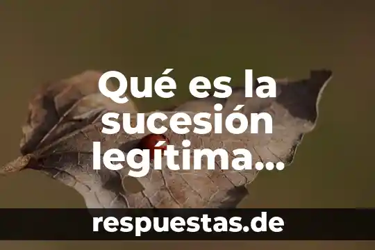 Que es un patrimonio derecho mexicano 7 Qué es la sucesión legítima derecho civil mexicano