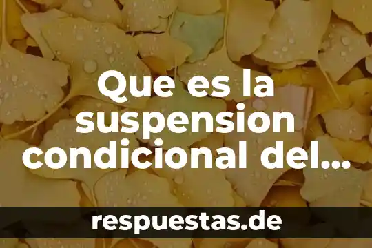 Que es la esencia del derecho penal 6 Que es la suspension condicional del proceso penal
