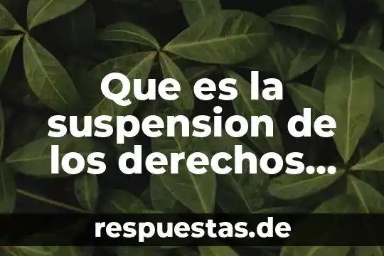 Que es la suspension de los derechos humanos
