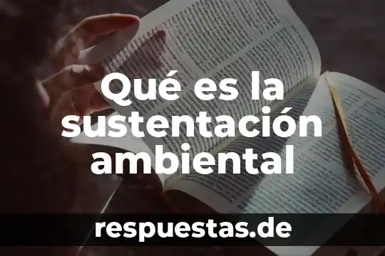 Que es conciencia ambiental ejemplos 3 Qué es la sustentación ambiental