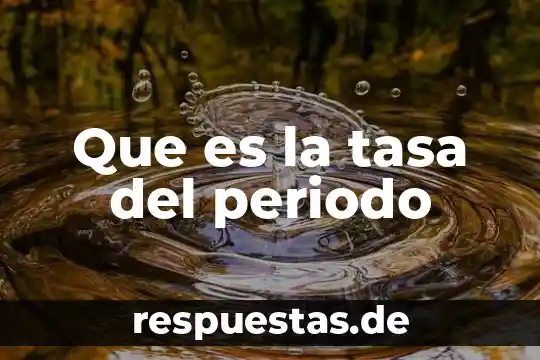 Que es el periodo en el movimiento circular 5 Que es la tasa del periodo