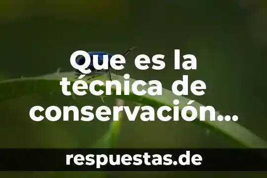 Que es una tecnica concepto de autores 5 Que es la técnica de conservación que se llama irradiación