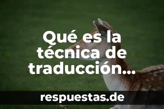 Que es el derecho a la educacion en ingles traduccion 7 Qué es la técnica de traducción directa