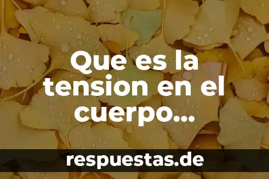 Que es el metaconocimiento ene el desarrollo humano 3 Que es la tension en el cuerpo humano