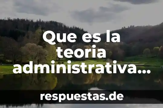 Que es la teoria administrativa del libro de chiavenato