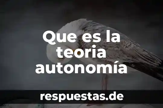 Qué es la teoría fáctica del delito 6 Que es la teoria autonomía