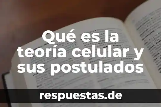Que es la teoria del conocimiento de hessen 7 Qué es la teoría celular y sus postulados