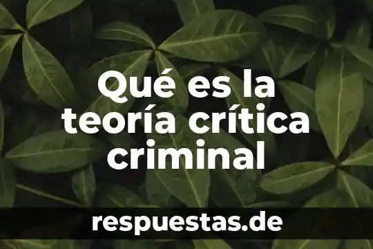 Por que es bueno pensar de manera critica 5 Qué es la teoría crítica criminal