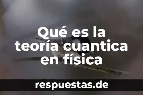 Oftalmólogo que es en la física 3 Qué es la teoría cuantica en física