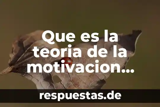 Significado de motivacion que es 6 Que es la teoria de la motivacion segun mcclelland