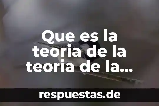 Que es la teoria de la teoria de la mente tirapu-ustarroz