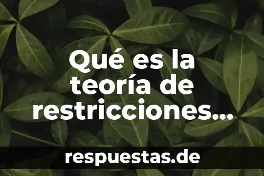 Qué es la teoría fáctica del delito 8 Qué es la teoría de restricciones yaoo