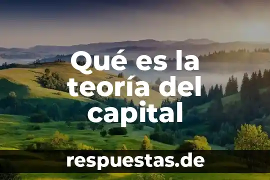 Qué es la teoría del capital