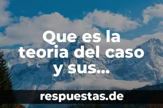 Que es la teoria del caso y sus elementos