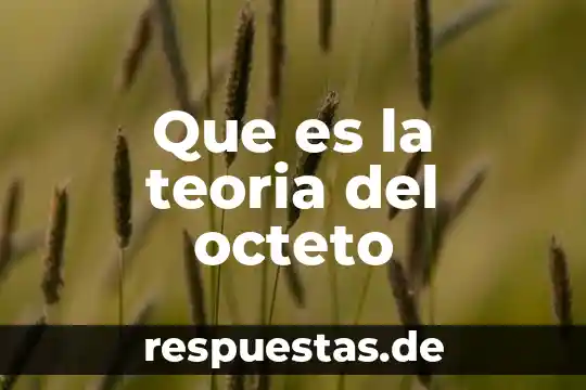 Qué es la teoría de falacias 6 Que es la teoria del octeto