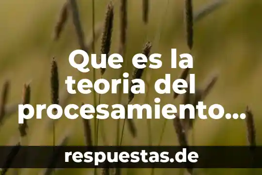 Que es procesamiento en lean manufacturing 3 Que es la teoria del procesamiento dela informacion