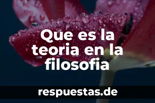 Qué es la teoría fáctica del delito 5 Que es la teoria en la filosofia