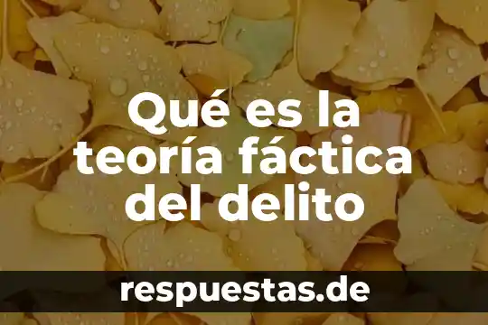 Que es la teoria de los espejos 8 Qué es la teoría fáctica del delito