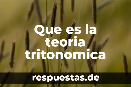 Que es representación social teoria 4 Que es la teoria tritonomica
