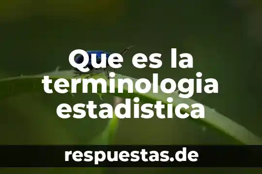 Que es la terminologia estadistica