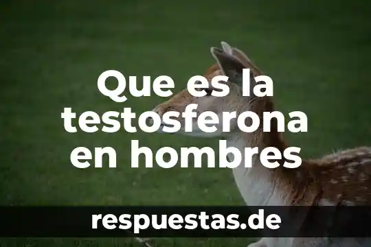 Que es la testosferona en hombres