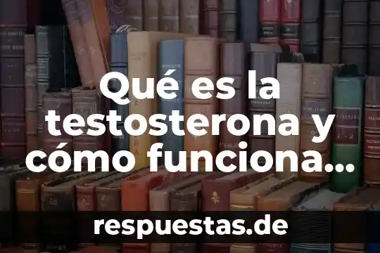 Escudo del centro escolar aparicio que es cada parte 7 Qué es la testosterona y cómo funciona en cada etapa