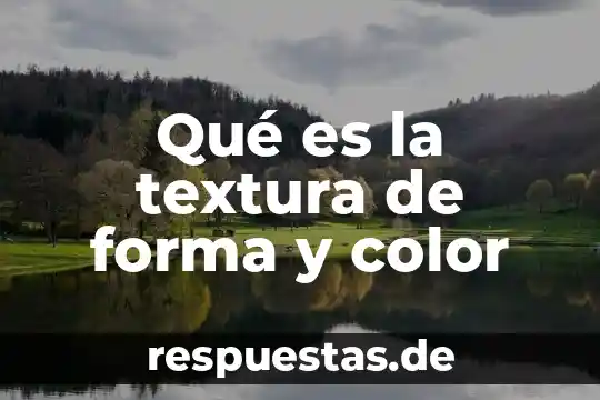 Que es el auto de exequendo con mandamiento en forma 4 Qué es la textura de forma y color