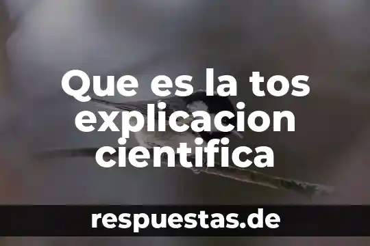 Que es el arte colectivo definicion 4 Que es la tos explicacion cientifica