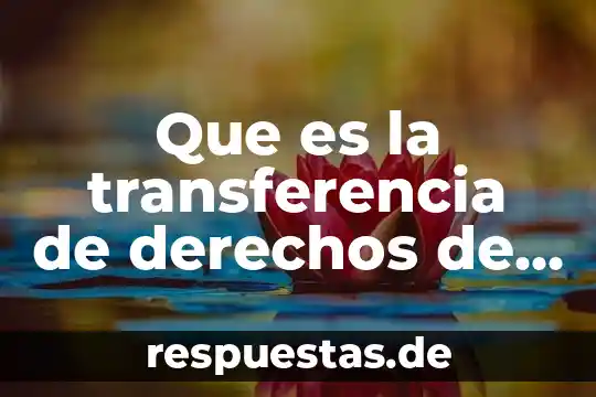 Qué es escepticismo en contabilidad 8 Que es la transferencia de derechos de desarrollo