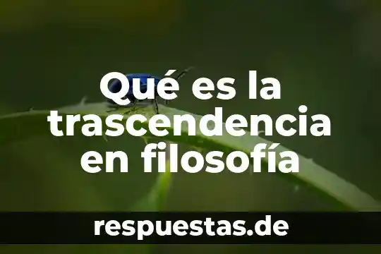 Qué es la reaccionología en filosofía 6 Qué es la trascendencia en filosofía