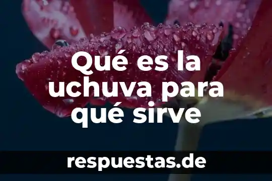 Qué es la uchuva para qué sirve